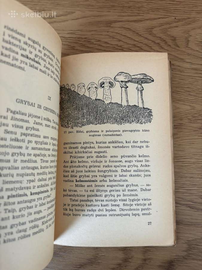 Grybų pasaulis (tarpukario laikų knyga) - nuotraukos Nr. 3