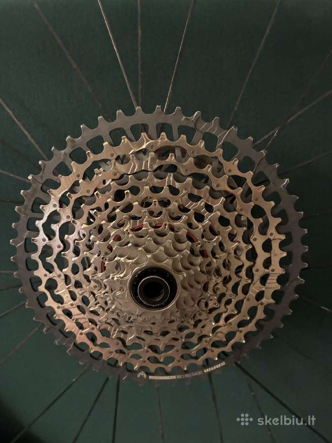 Syncron Silverton 1.0s - nuotraukos Nr. 2