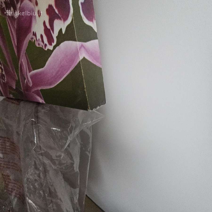 Ryškus, gražus paveikslas Orchidėjos - nuotraukos Nr. 2