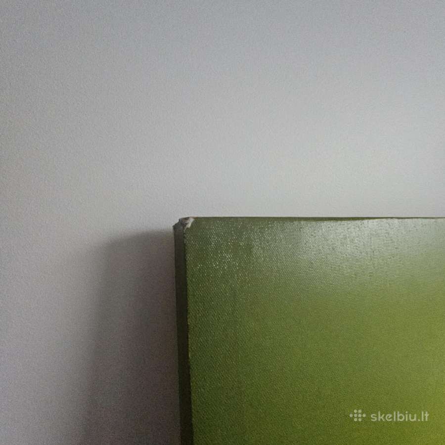 Ryškus, gražus paveikslas Orchidėjos - nuotraukos Nr. 3