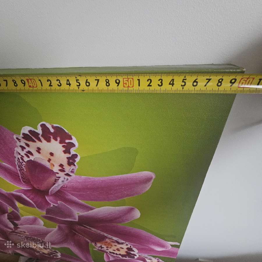 Ryškus, gražus paveikslas Orchidėjos - nuotraukos Nr. 4