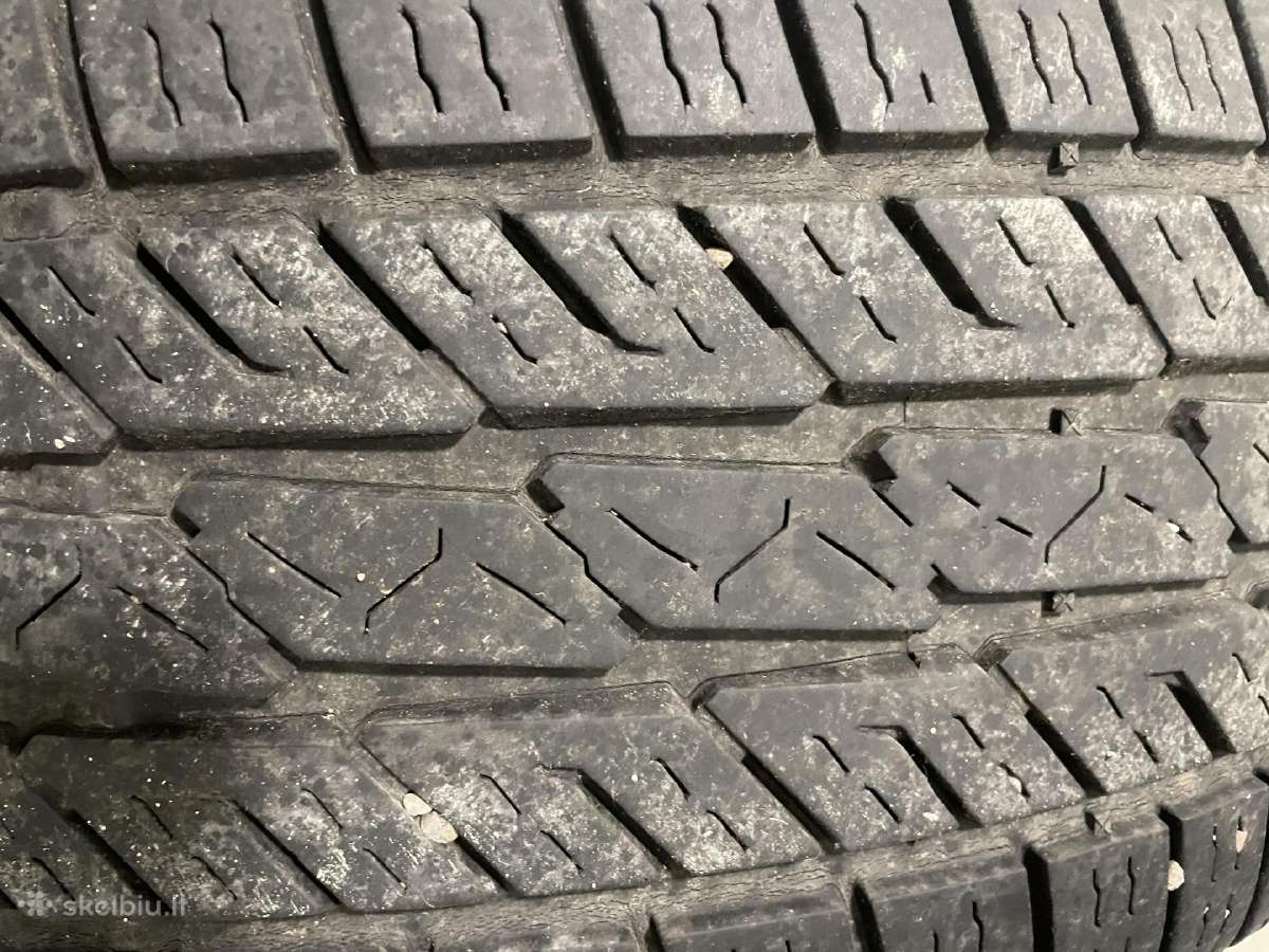Bravuris, 2 vnt, naudotos, vasarinės €20 - nuotraukos Nr. 7