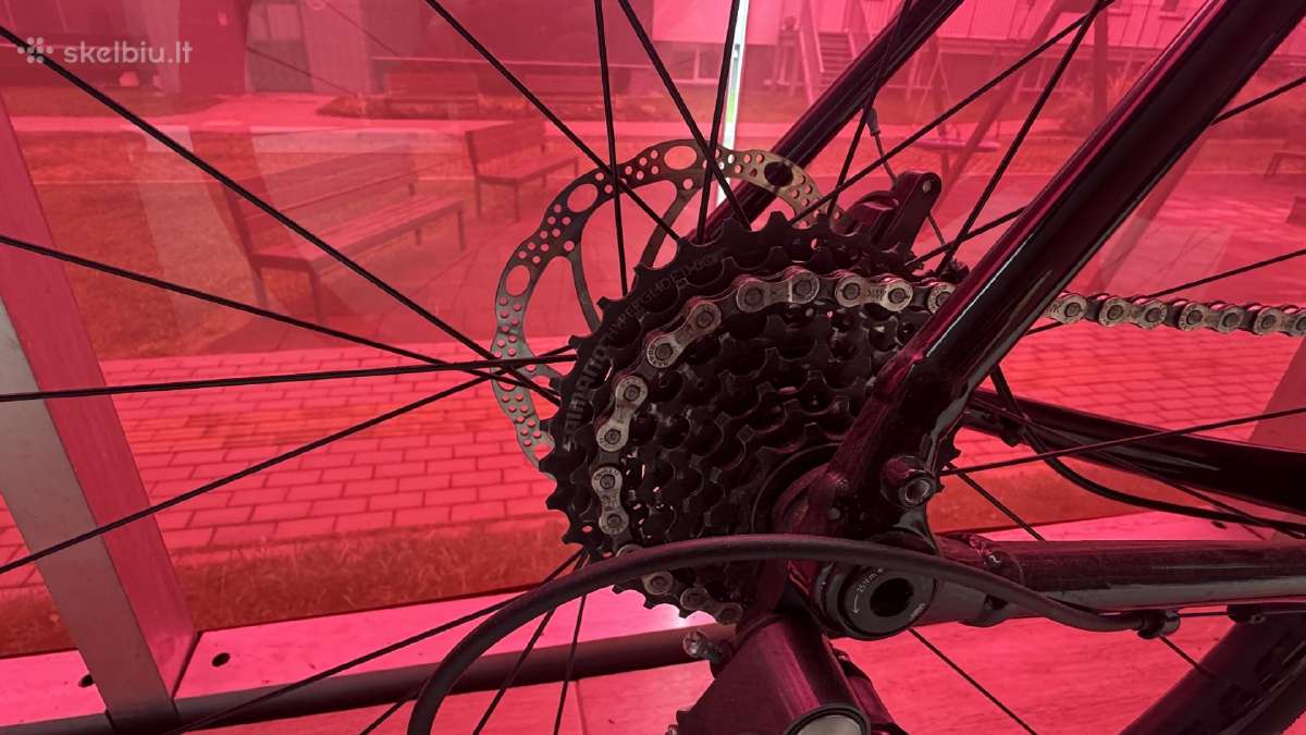 Trek domane AL 2 Gen 4 - nuotraukos Nr. 5