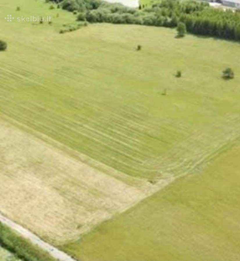 Žemės Sklypai Doviluose - nuotraukos Nr. 2