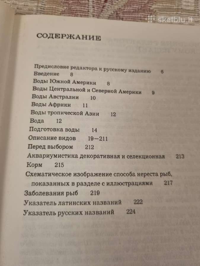 Rusų kalba - Аквариумные тропические рыбы - nuotraukos Nr. 3