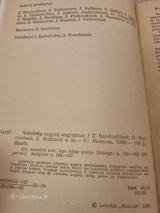 Vaistinių augalų auginimas - nuotraukos Nr. 3