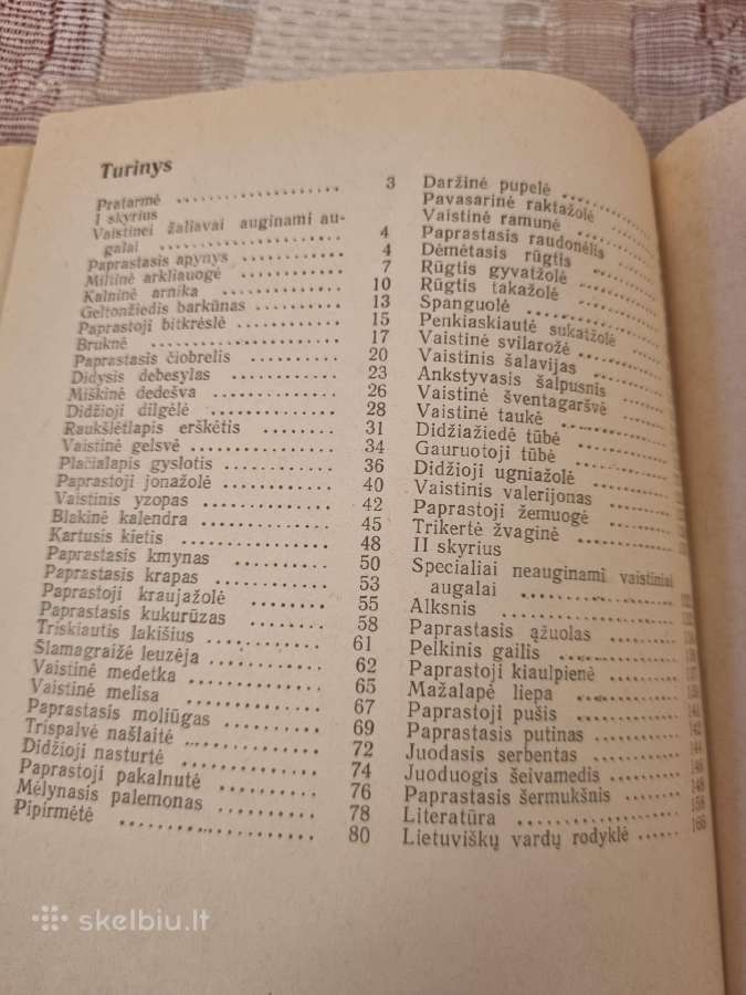 Vaistinių augalų auginimas - nuotraukos Nr. 4
