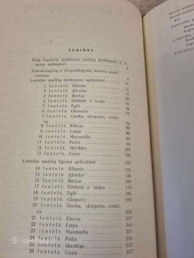 Svarbiausių miško medžių kenkėjai ir ligos - nuotraukos Nr. 3
