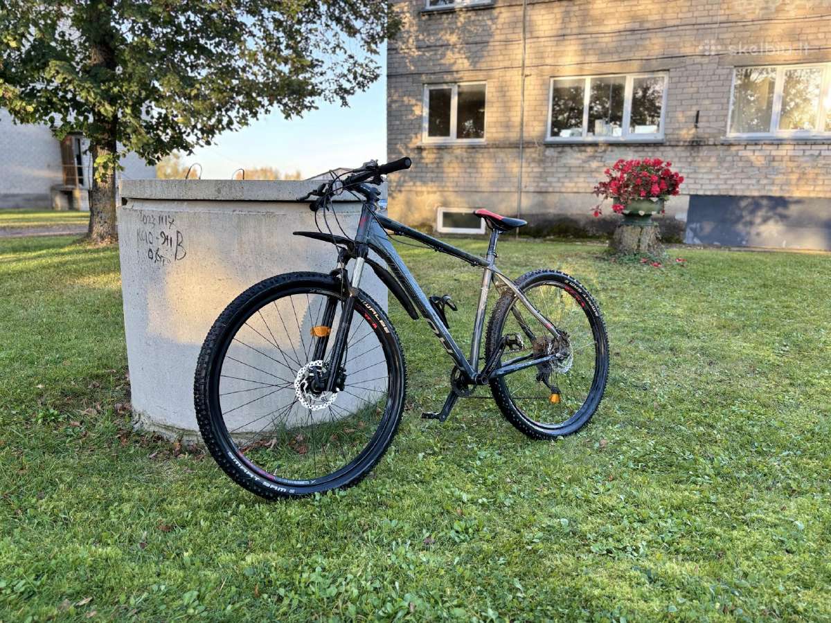 X-zite Pro 2911 - nuotraukos Nr. 8