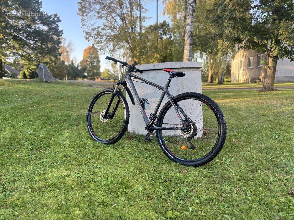 X-zite Pro 2911 - nuotraukos Nr. 9