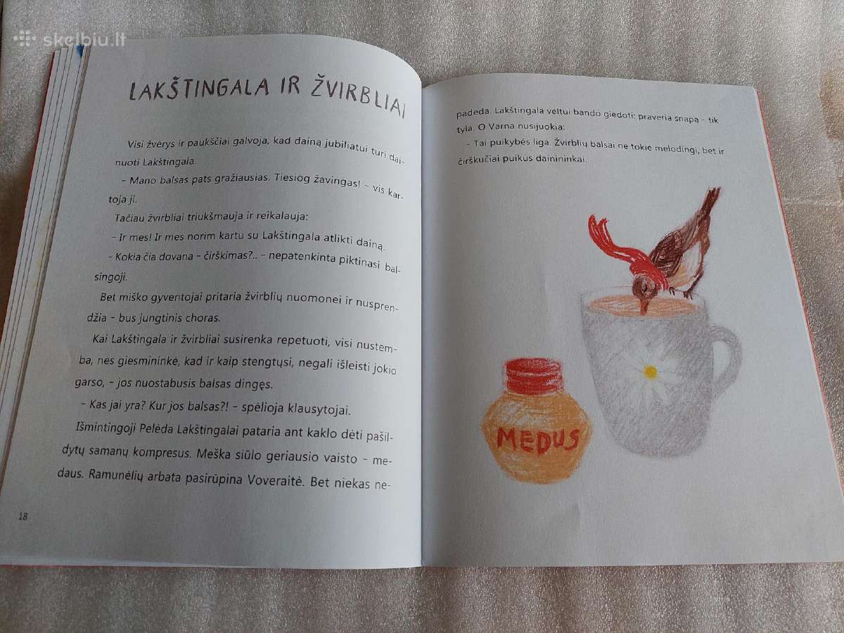 Zebro gimtadienis - nuotraukos Nr. 4