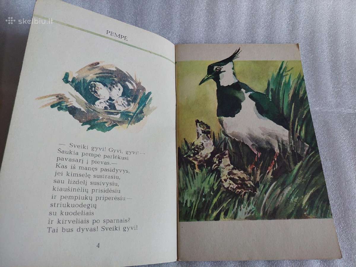 Čir vir vir pavasaris - nuotraukos Nr. 3