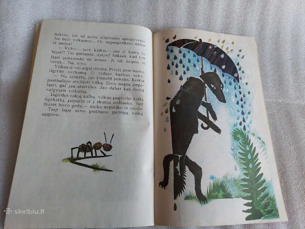 Gaidys giedorius - nuotraukos Nr. 4