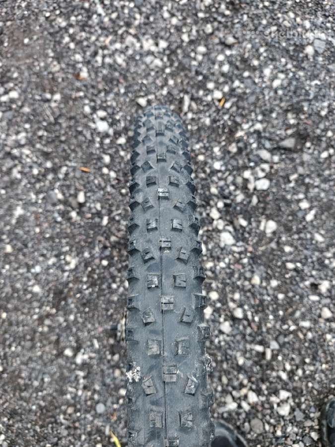 29 x 2.4 kalnu dviračio galinis ratlankis diskinis - nuotraukos Nr. 4