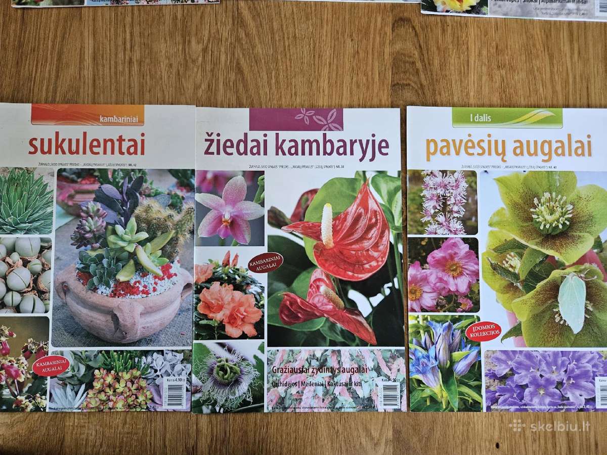 Žurnalai augalų mylėtojams 12 vnt. - nuotraukos Nr. 4