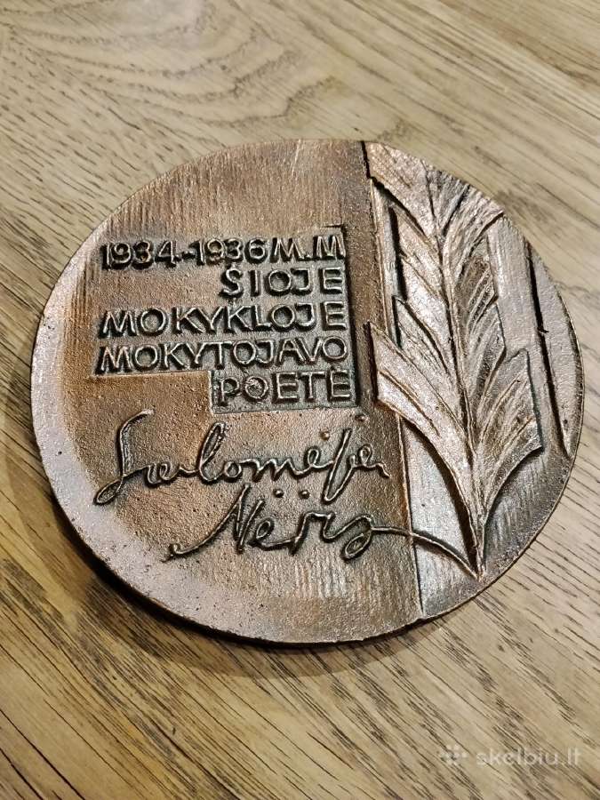Salomėjos Nėries mokykla Panevėžio - nuotraukos Nr. 2