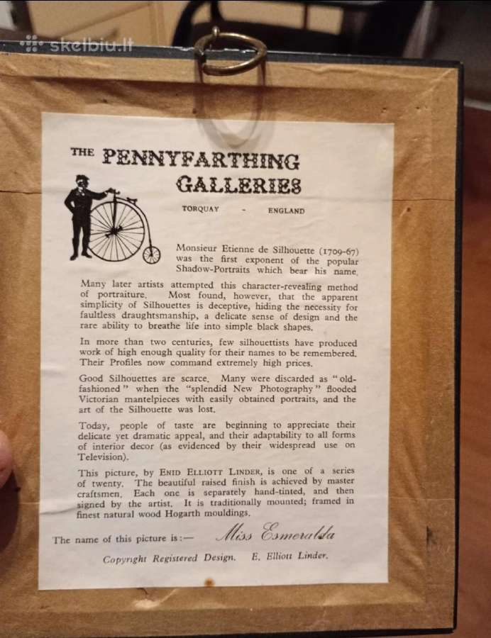 Paveikslai 2vnt. - nuotraukos Nr. 8