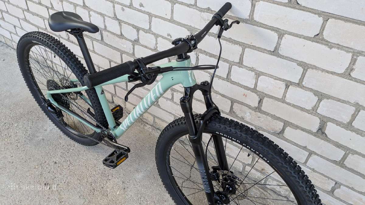 Specialized 29er, 1x12sp - nuotraukos Nr. 4