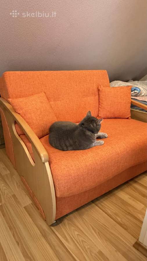 Sofa lova - nuotraukos Nr. 2