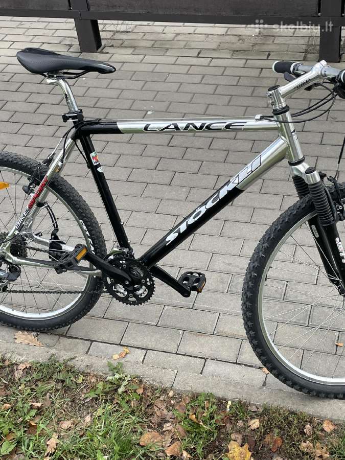 Stockli šveicarija - nuotraukos Nr. 3