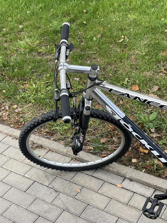 Stockli šveicarija - nuotraukos Nr. 11