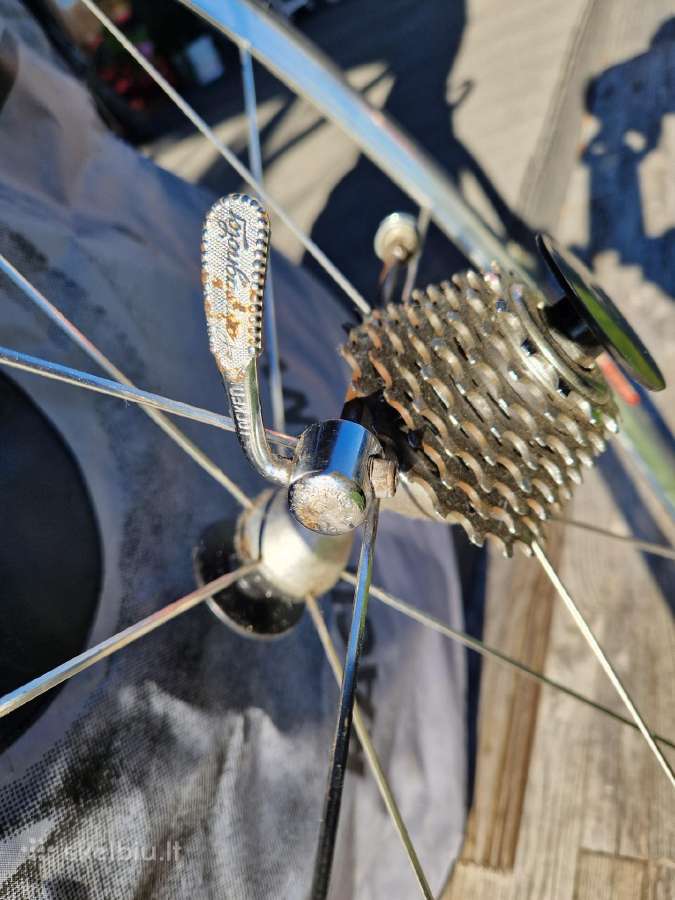 Campagnolo 28' - nuotraukos Nr. 33