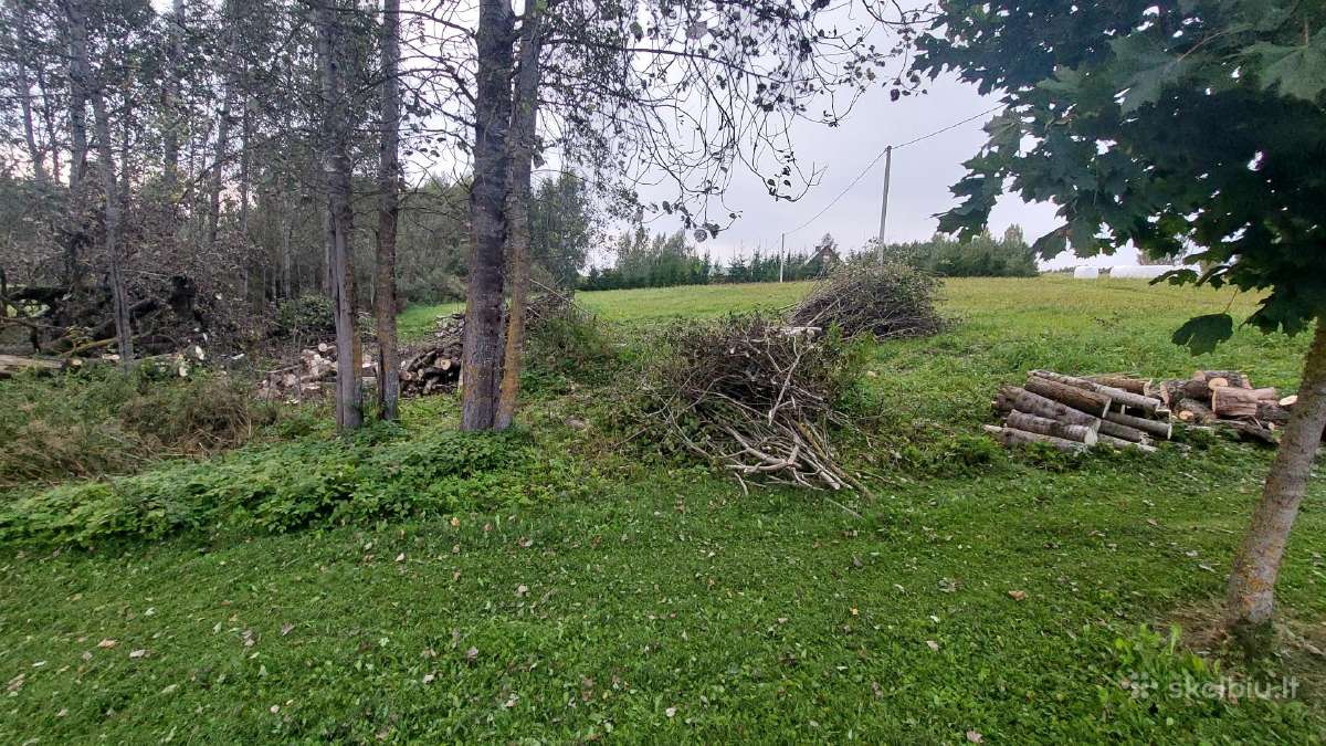 Atiduodu paruoštą medieną kūrenimui - nuotraukos Nr. 2