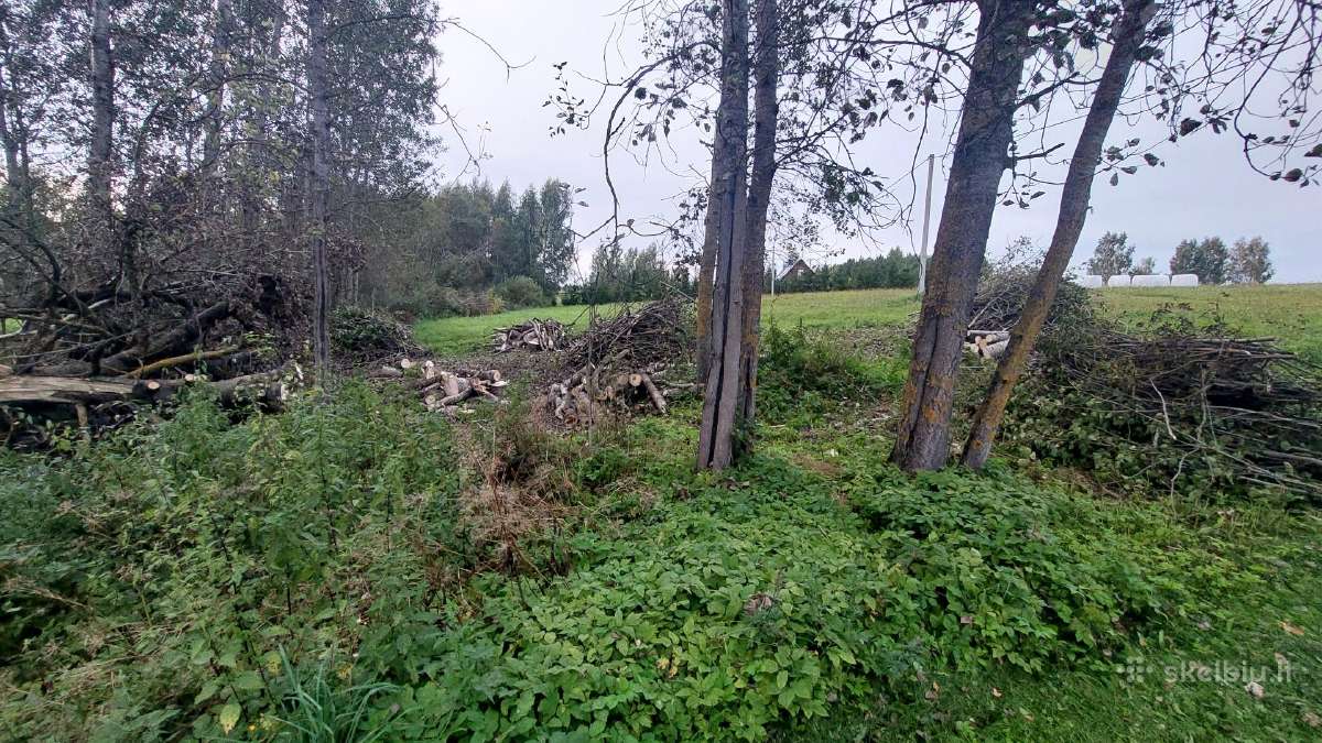 Atiduodu paruoštą medieną kūrenimui - nuotraukos Nr. 3