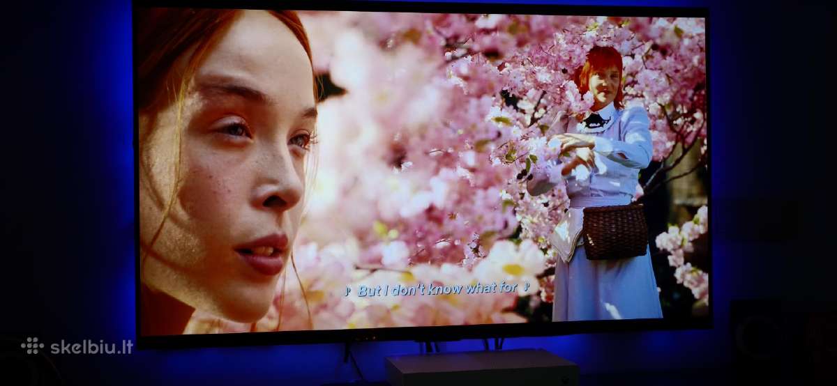 LG Oled48c21 (LG C2) - nuotraukos Nr. 3