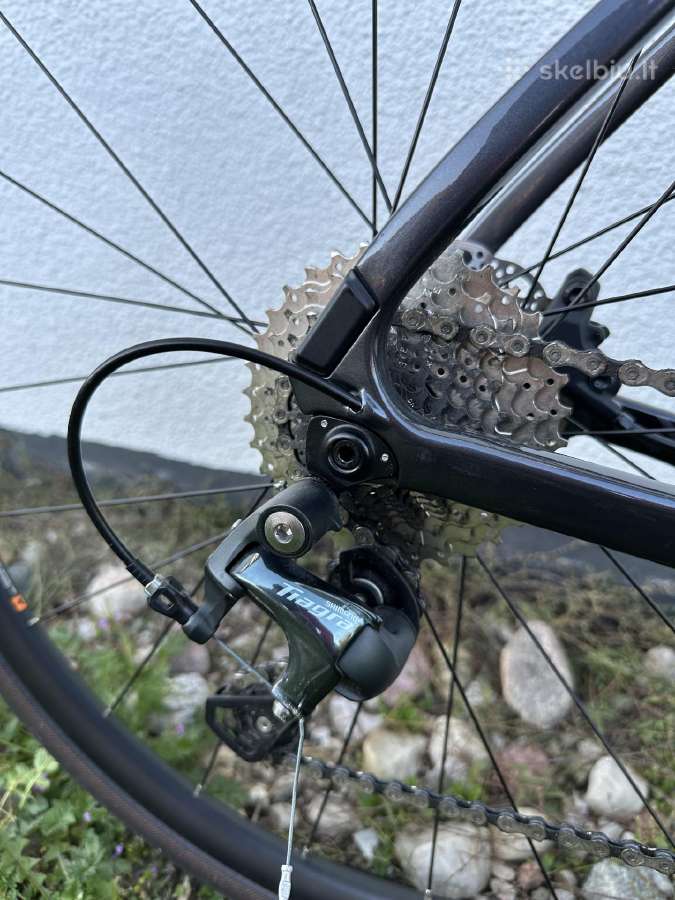 Giant Fastroad Advanced 2 carbon - nuotraukos Nr. 2