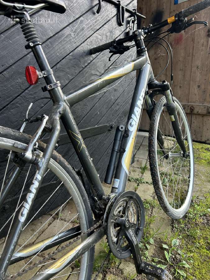 Giant firmos dviratis - nuotraukos Nr. 7
