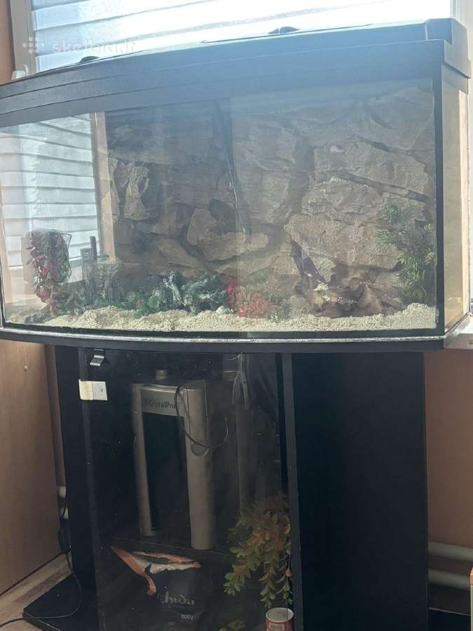 180l talpos akvariumas - nuotraukos Nr. 2