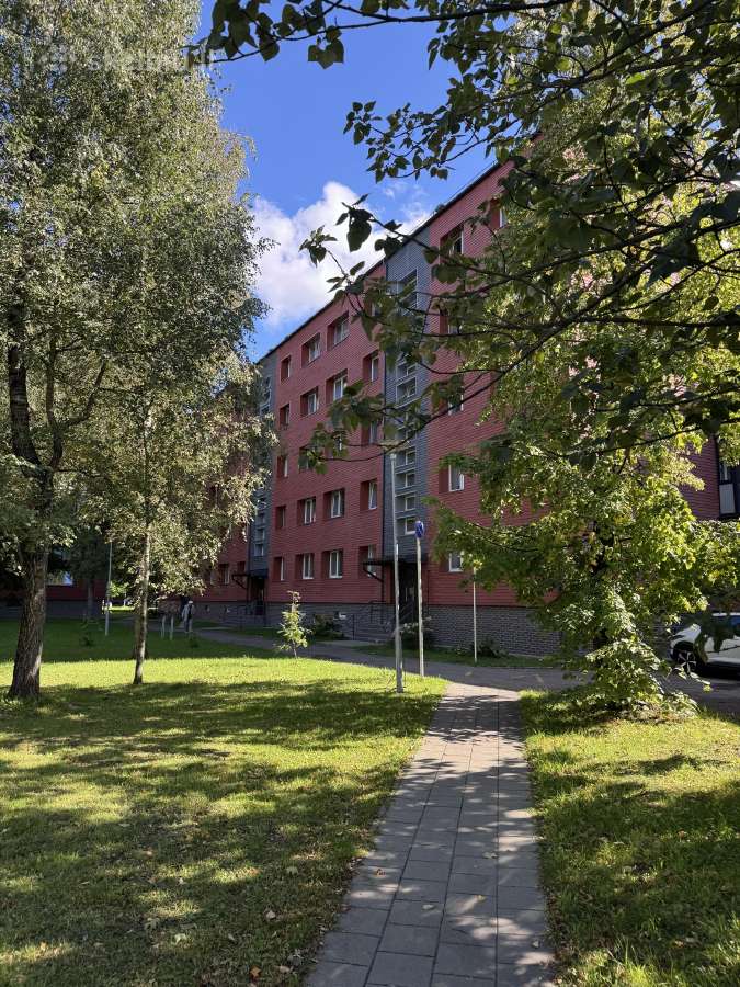 Buti nuoma Klaipėdoje - nuotraukos Nr. 11