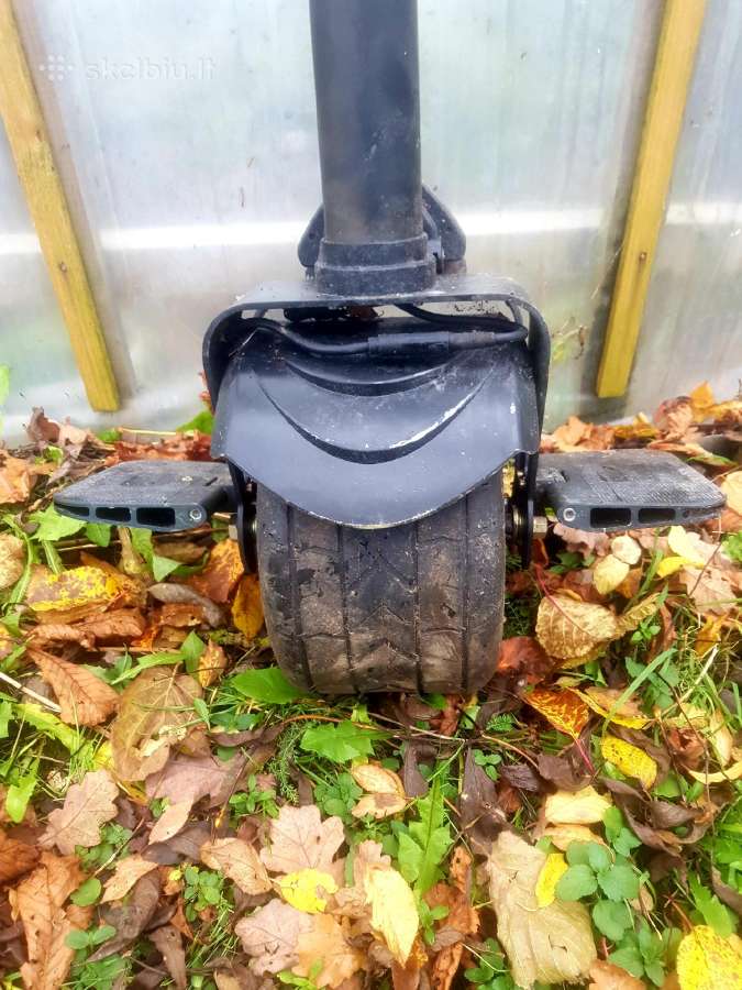 Vienaratis 60v-800w - nuotraukos Nr. 2