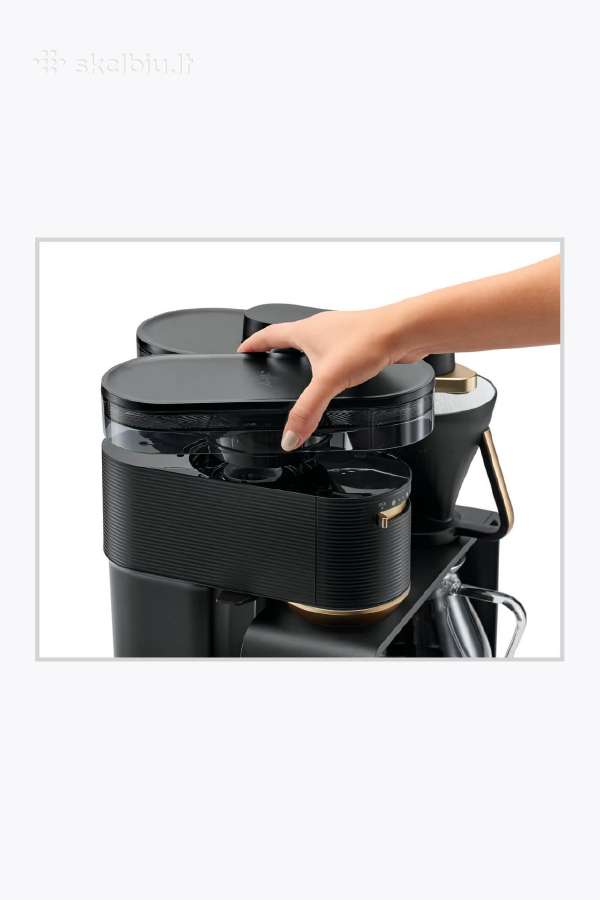 Melitta epos - nuotraukos Nr. 9