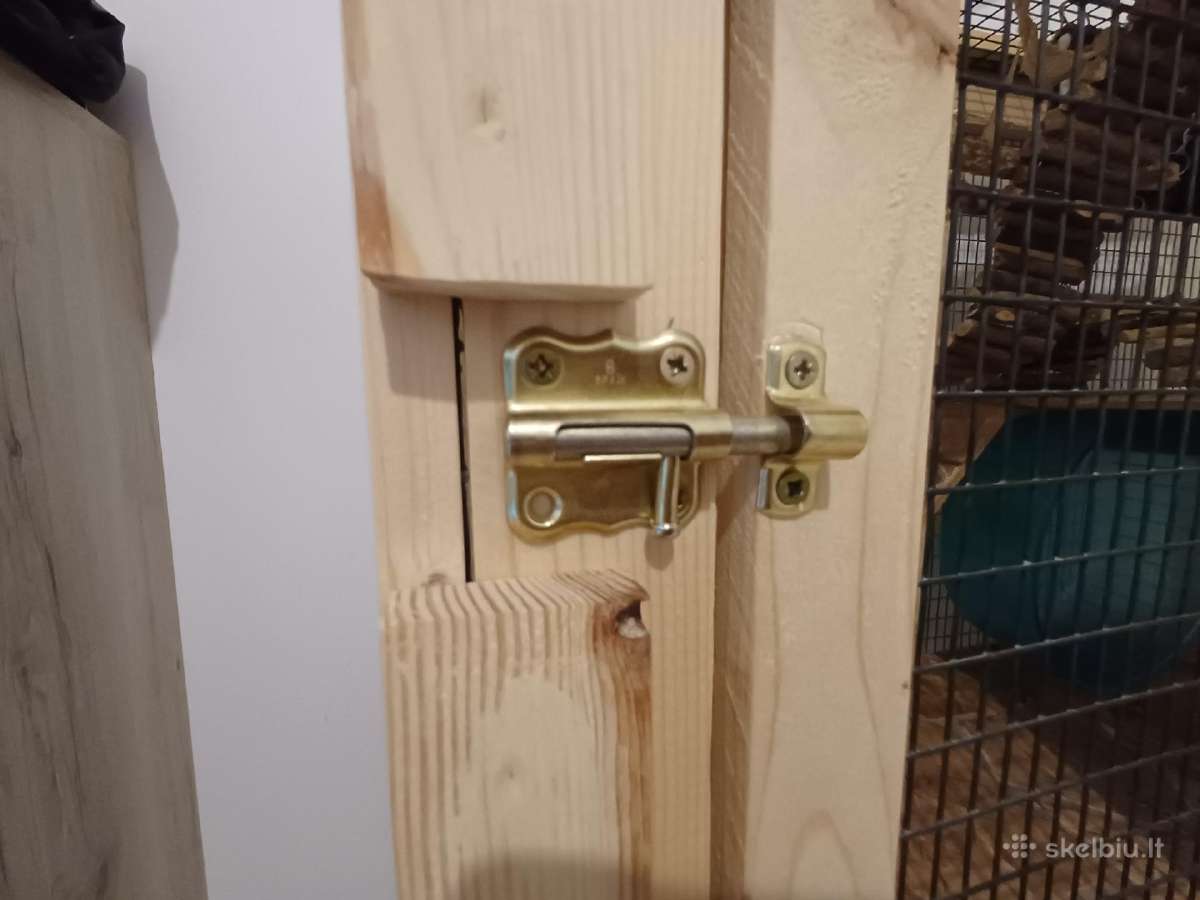 Parduodami degu broliukai kartu su narvu - nuotraukos Nr. 3
