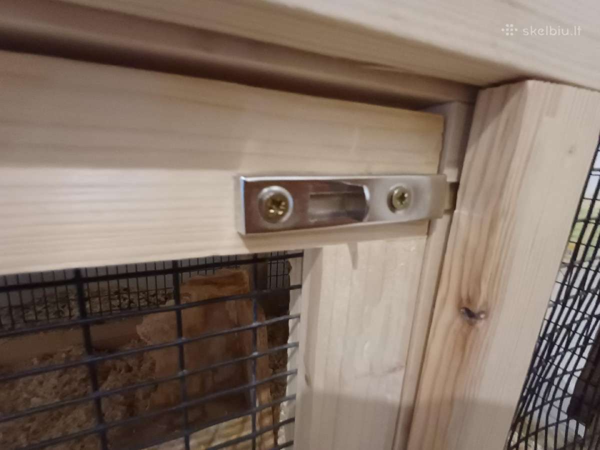 Parduodami degu broliukai kartu su narvu - nuotraukos Nr. 4