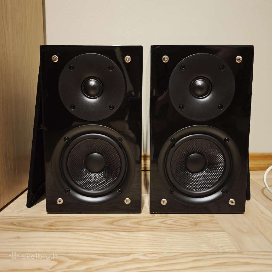 Pioneer kolonėlės - nuotraukos Nr. 2