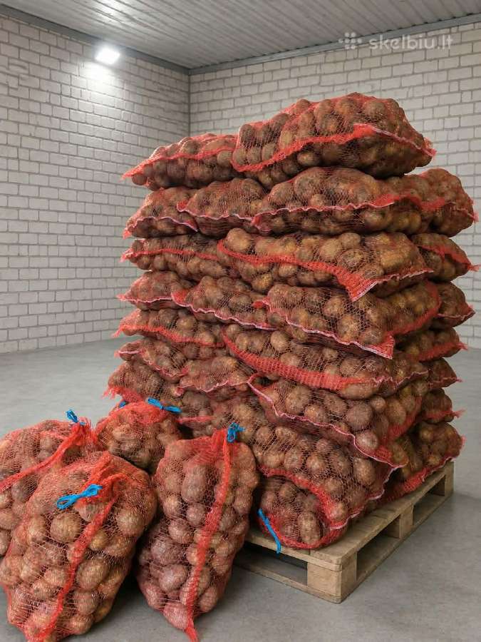 Gala Bulves Didmaišiais Ir Maišeliais - nuotraukos Nr. 2