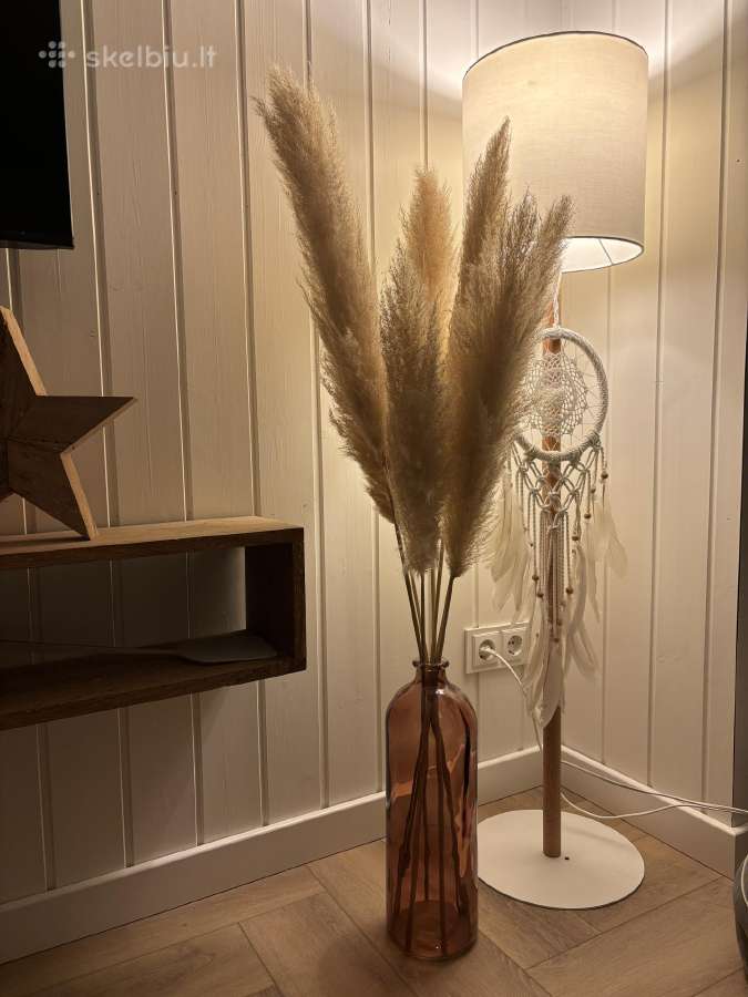 Pampas grass smilgos namu dekoracijai - nuotraukos Nr. 3