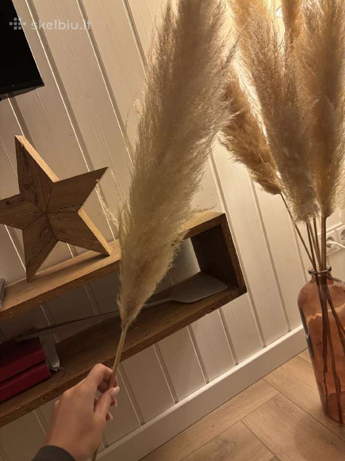 Pampas grass smilgos namu dekoracijai - nuotraukos Nr. 4