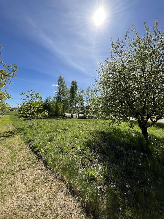 Žemės sklypas - nuotraukos Nr. 3