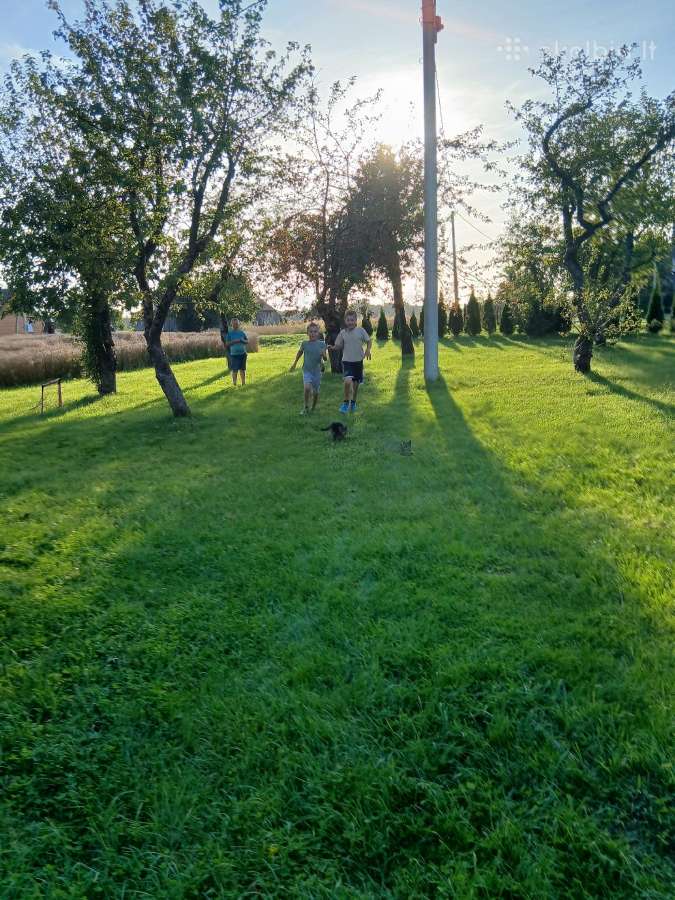Parduodama pasakų sodybą Latveliuose. - nuotraukos Nr. 12