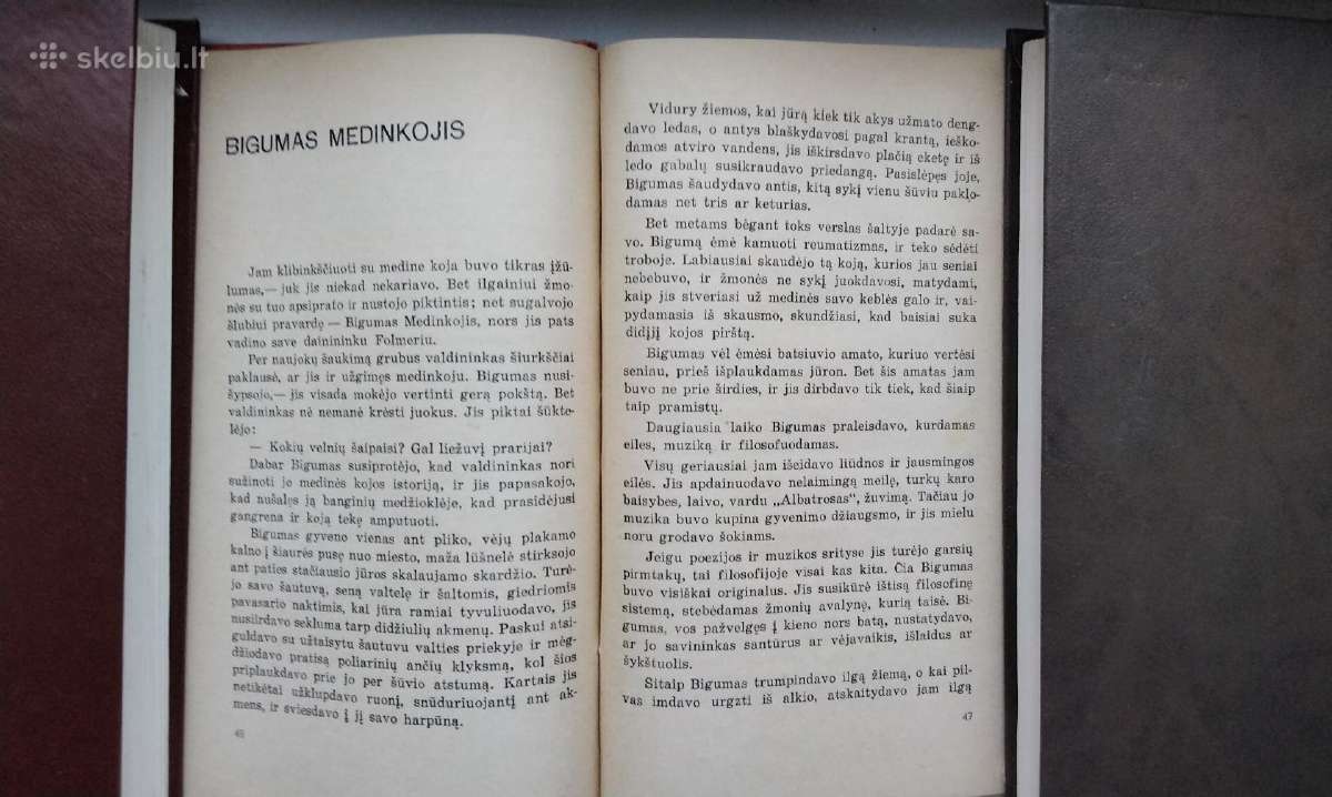 M. A. Neksė. Trumpa vasara. 1969 m. - nuotraukos Nr. 4