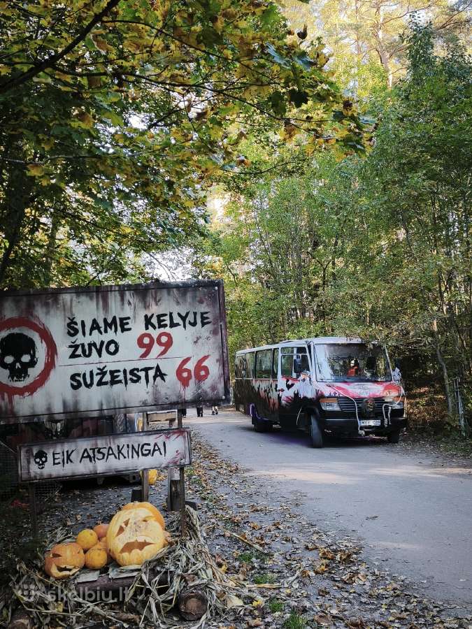 Grinčo autobusas Kaune – kalėdinės kelionės - nuotraukos Nr. 2