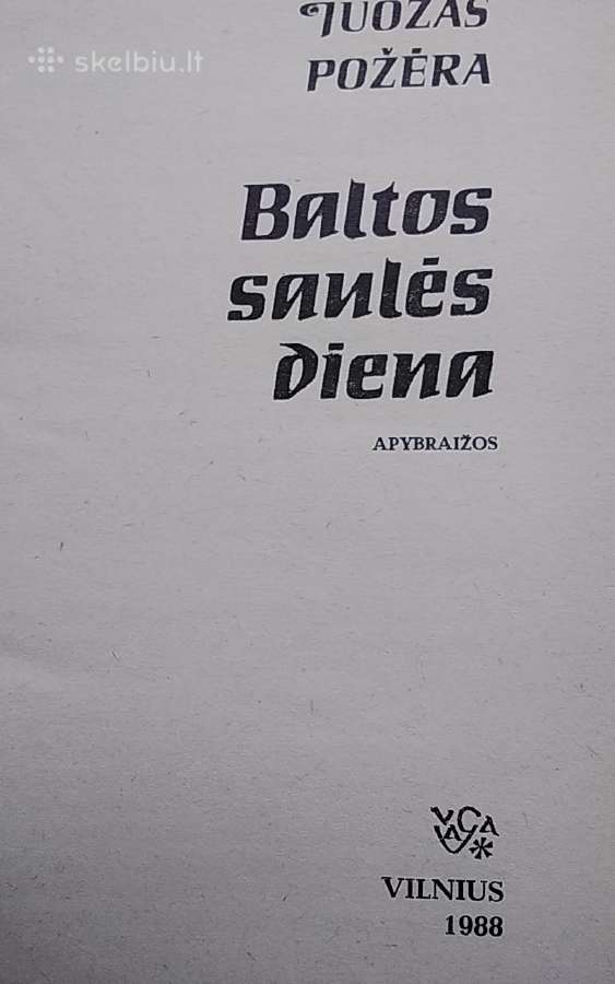 Baltos saulės diena - nuotraukos Nr. 2