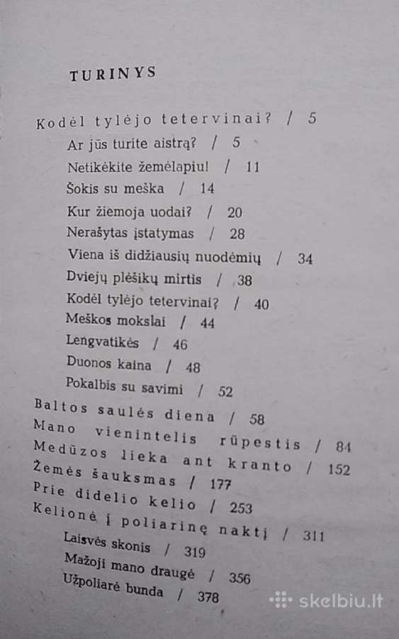 Baltos saulės diena - nuotraukos Nr. 3