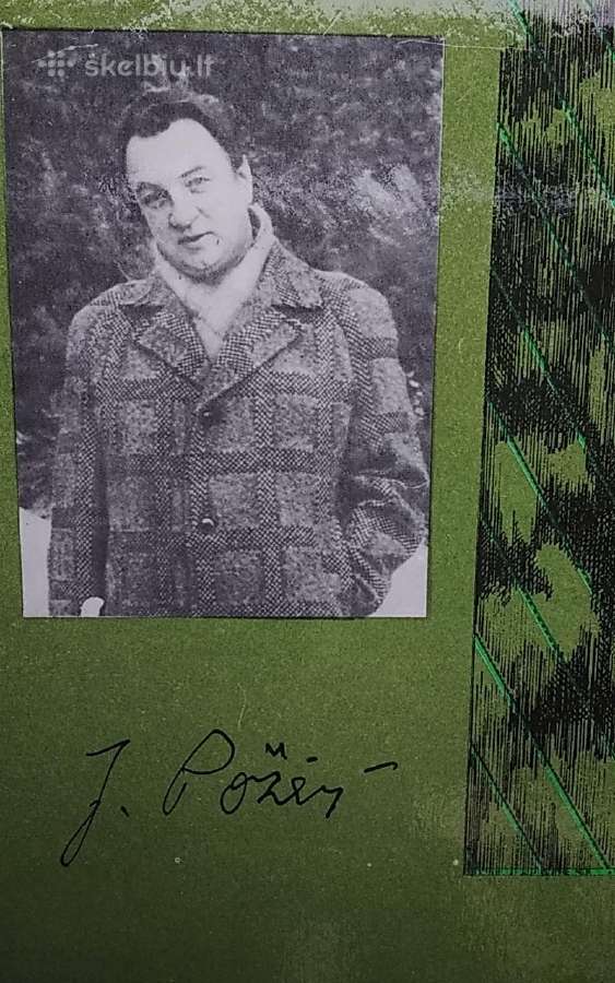 Baltos saulės diena - nuotraukos Nr. 4