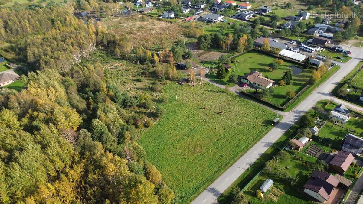 Investicinis 2,3 ha sklypas Dituvoje, Pavasario g. - nuotraukos Nr. 2