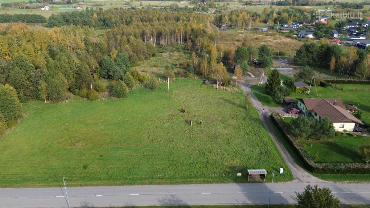 Investicinis 2,3 ha sklypas Dituvoje, Pavasario g. - nuotraukos Nr. 3